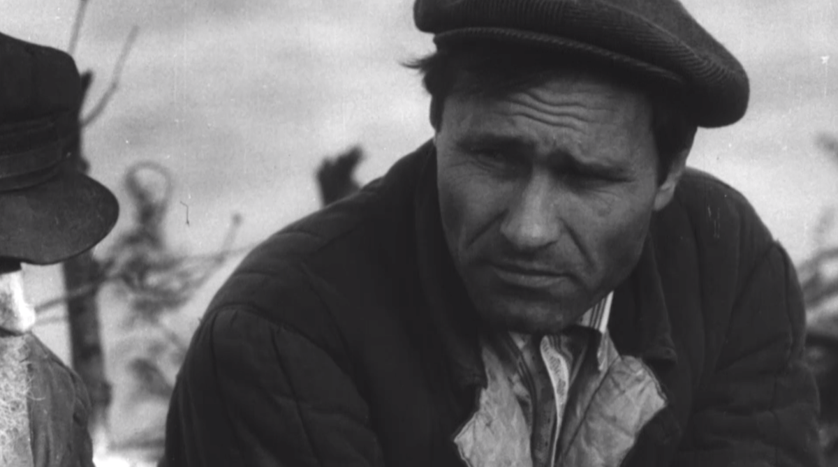 25 июля день рождения Василия Макаровича Шукшина. И  в этот день  вот совсем не хочется связывать его имя со всеми этими скандалами, Алибасовыми, квартирами, деньгами...-2