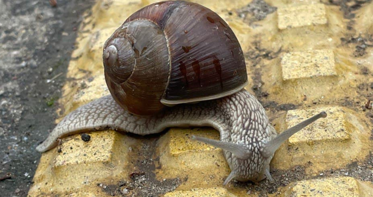 По дороге на работу