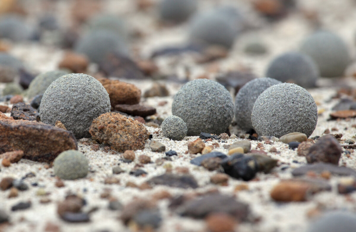 А есть на острове Чамп и такое вот мелкие круглые камушки