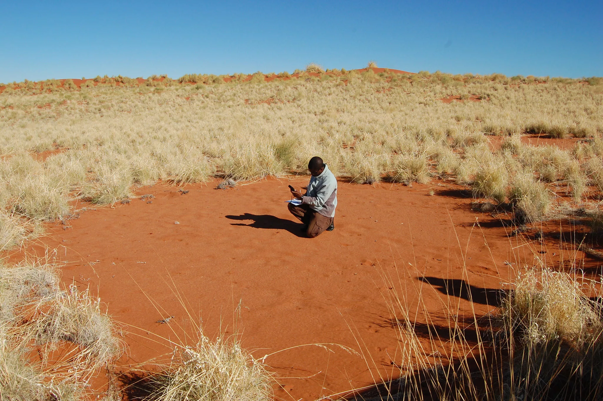 Кругом было пустынно. Ведьмины круги пустыня Намиб. Круги пустыни Намиб. Ведьмины круги в Намибии. Пустыня Намиб загадочные круги.