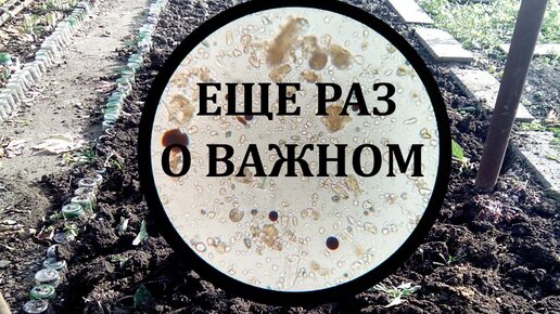 Нужно ли копать огород осенью все ЗА и ПРОТИВ