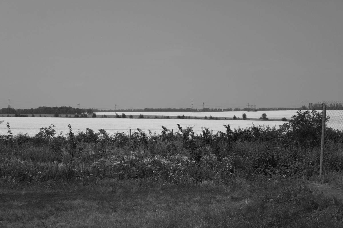 Поля Кубани