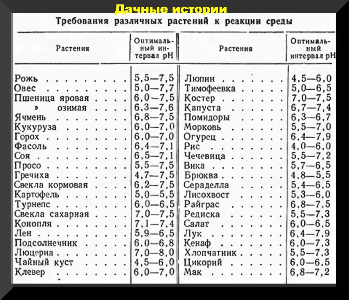 Какая земля нужна для овощных культур