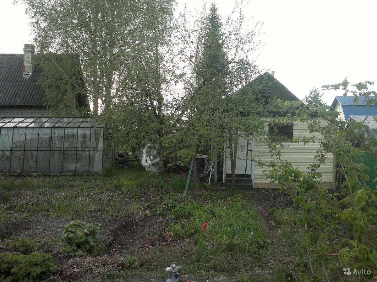 Фото из интернета