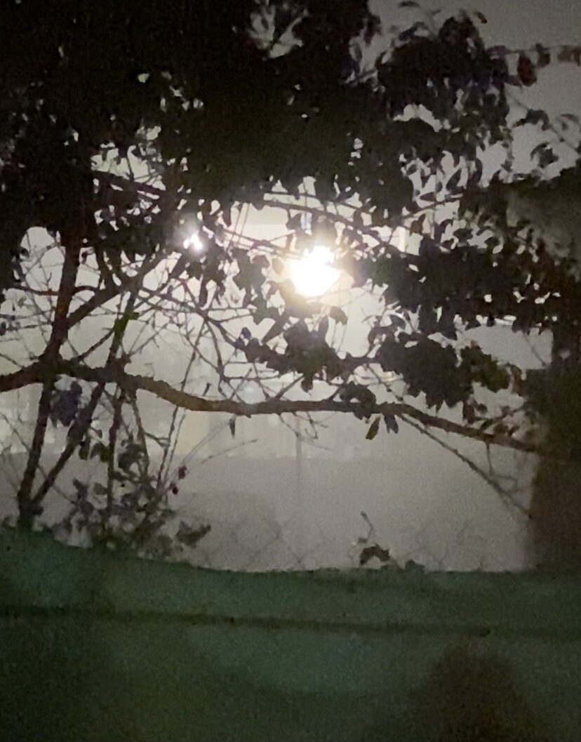 Ночь и нетишина…