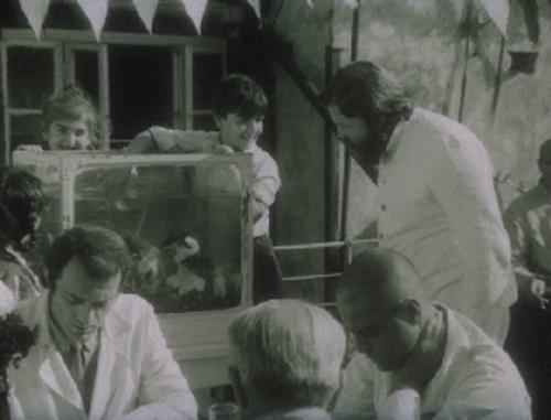 Кадр из фильма "Пловец" (1981 год).