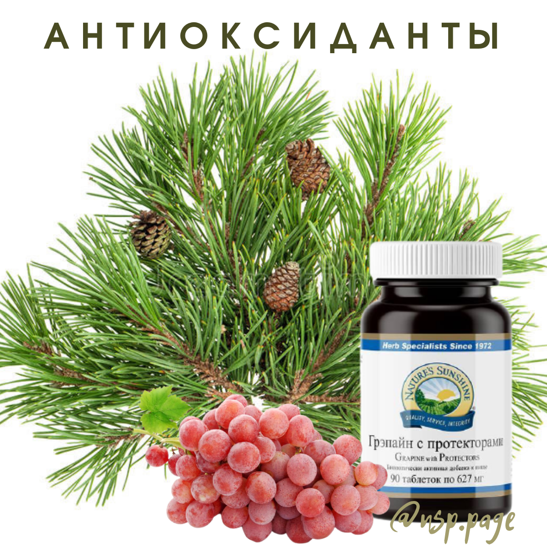 Грэпайн с протекторами 𝐍𝐒𝐏 