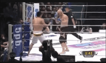 Татсуя Мизуно улетает в нокаут в бою с россиянином Сергеем Харитоновым
