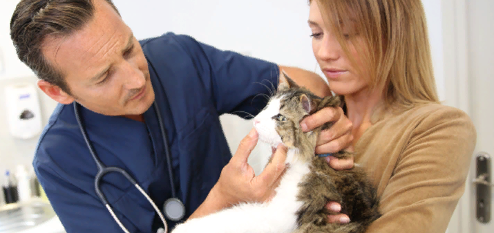 Фото из свободного доступа сети интернет