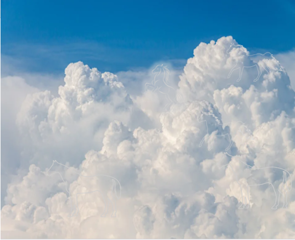 Оригинальная картинка облаков и векторы с разрешения авторов сайта pixabay