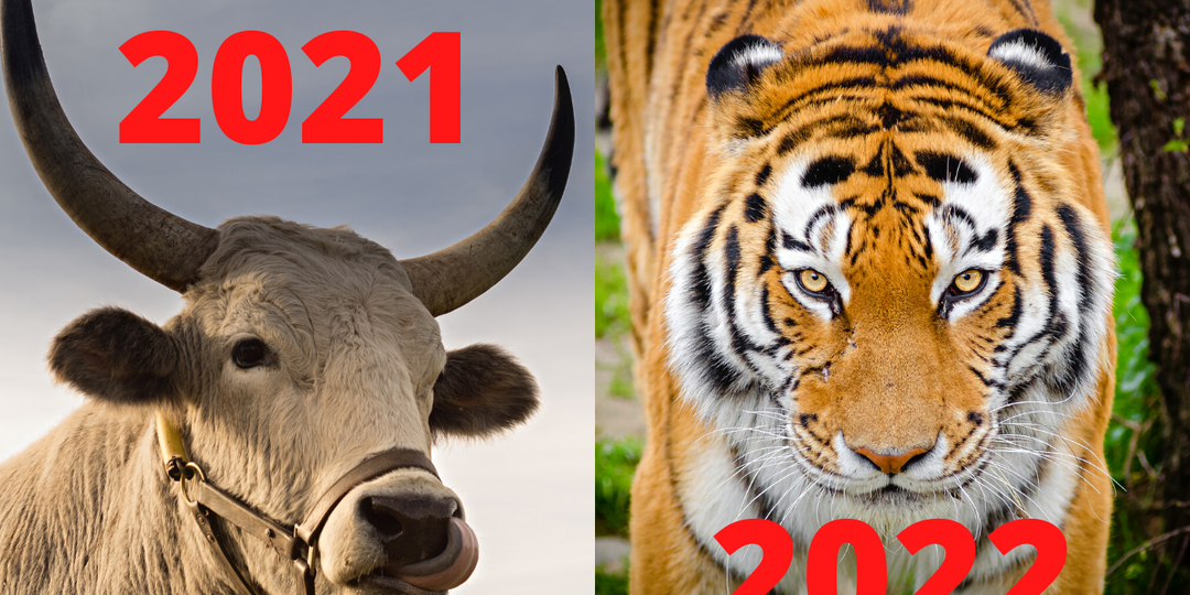 Печали и радости 2021. Вспоминаем события уходящего года