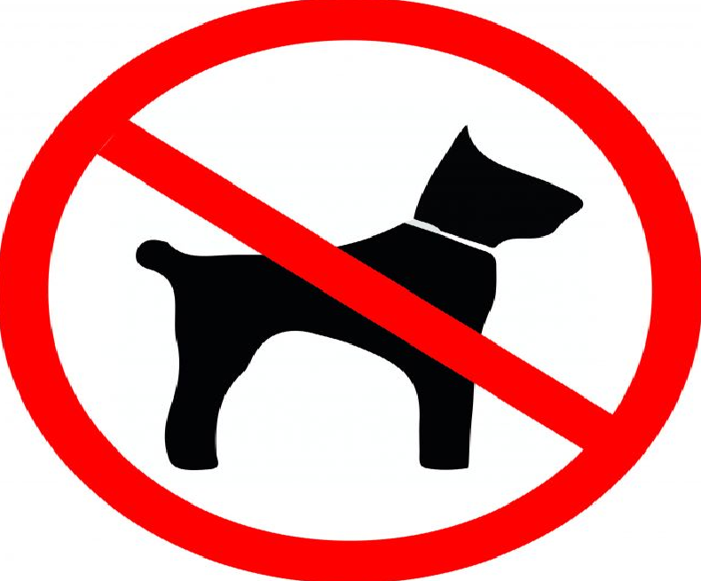 Собакам запрещен въезд в Антарктиду