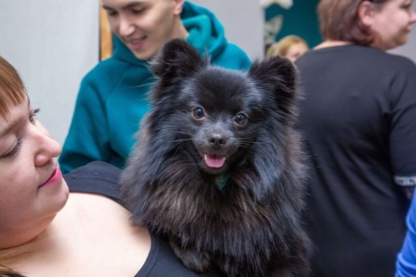 ФОТО: СЕРГЕЙ АФАНАСЕНКО.