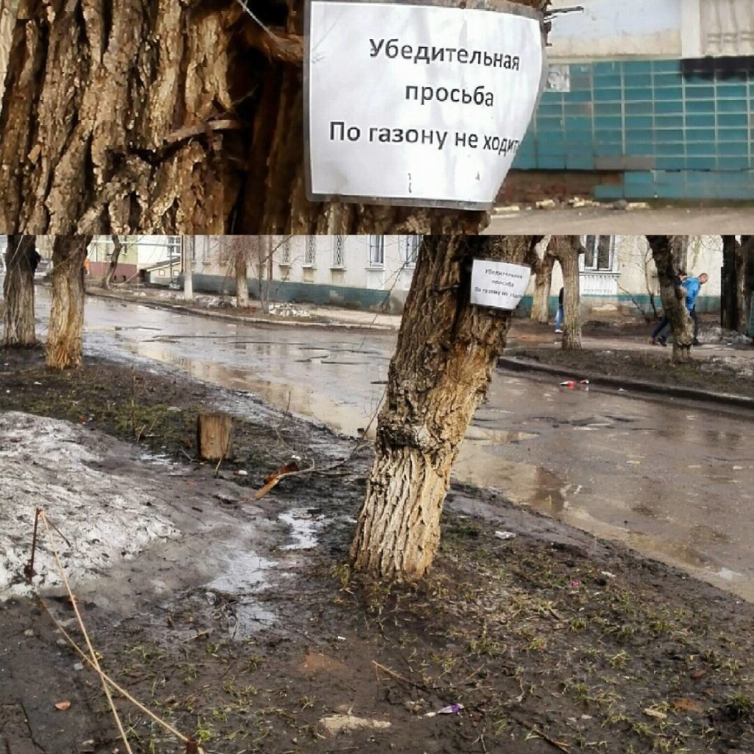 взято с открытых источников 