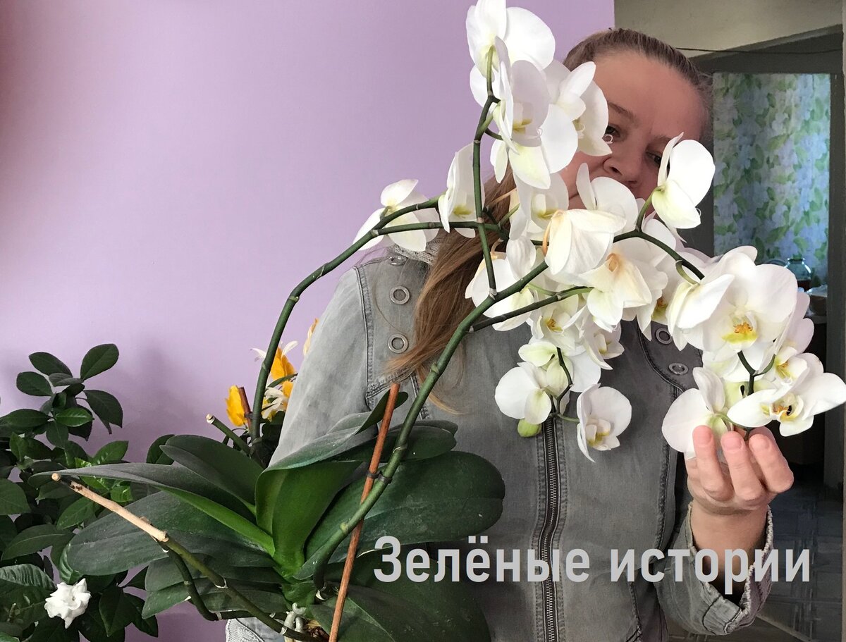 А это я со своей люимицей