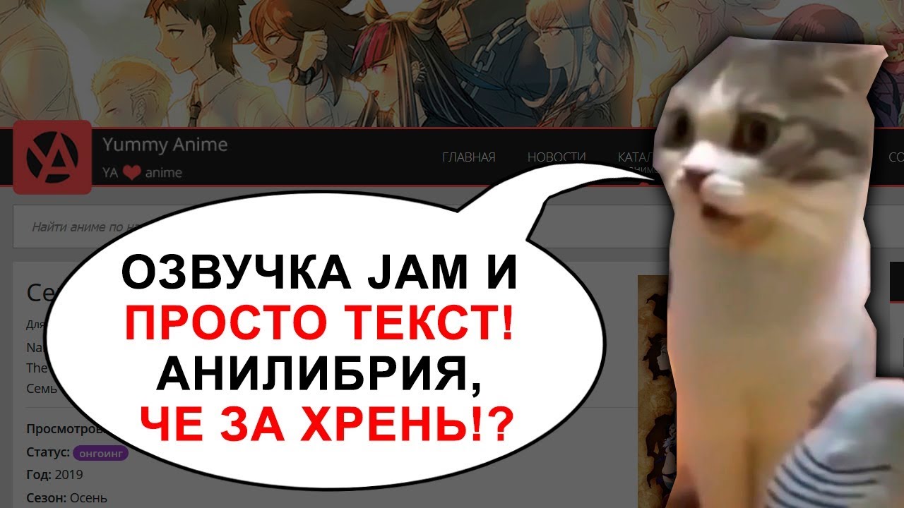 ОЗВУЧКА JAM И ПРОСТО ТЕКСТ! АНИЛИБРИЯ, ЧЕ ЗА ХРЕНЬ!? | ЛЛН