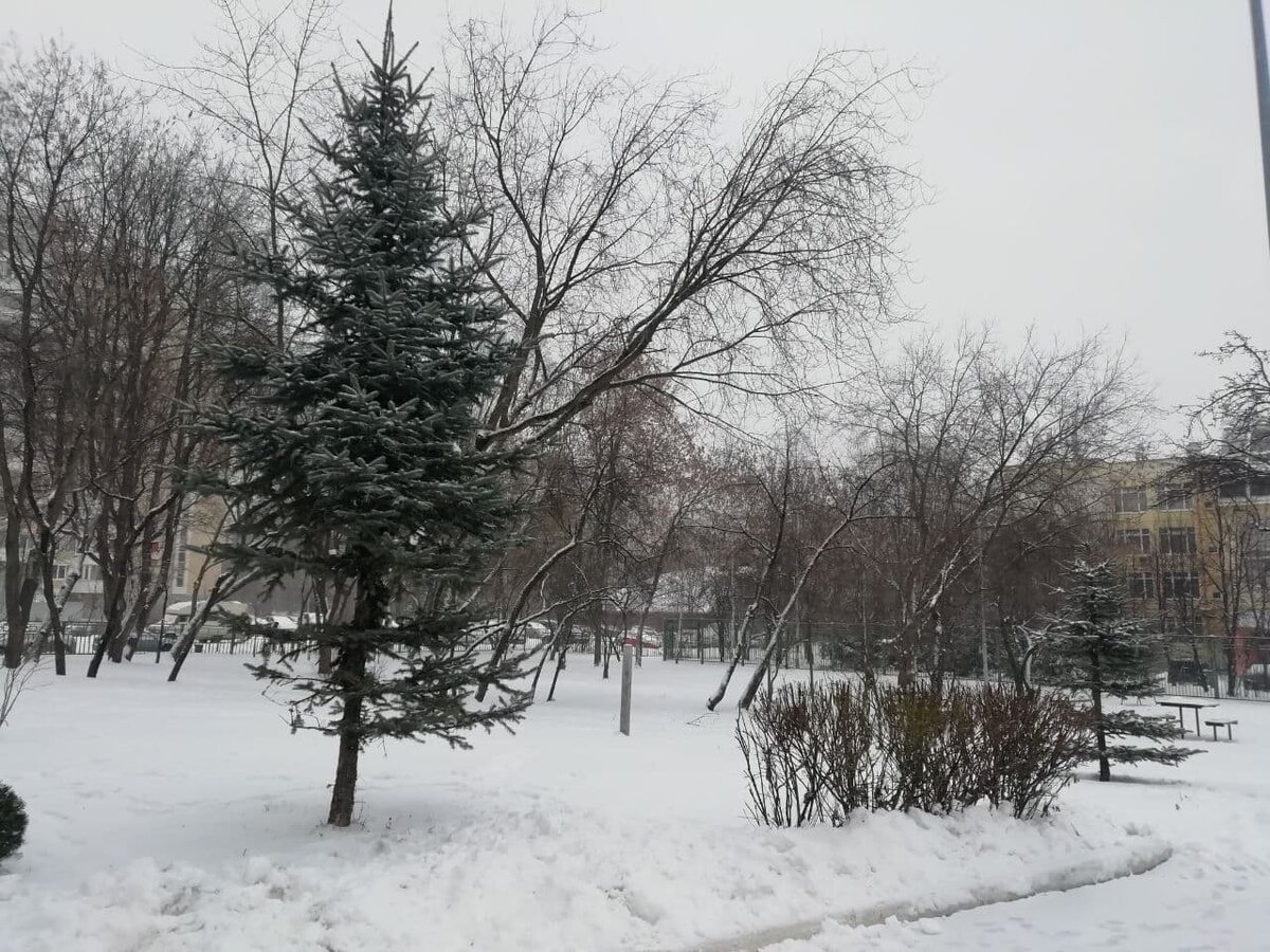 Московские заснеженные дворы. Фото дочери.