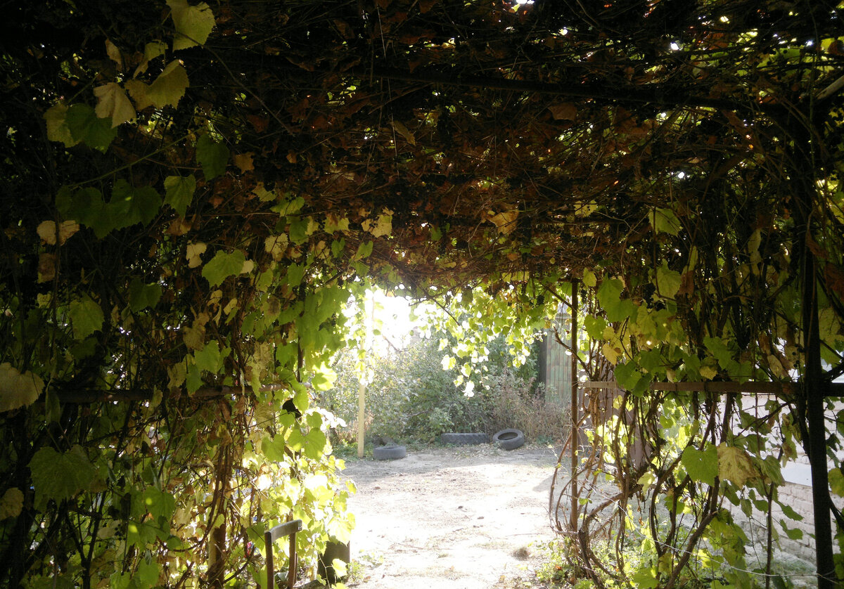 Фото автора