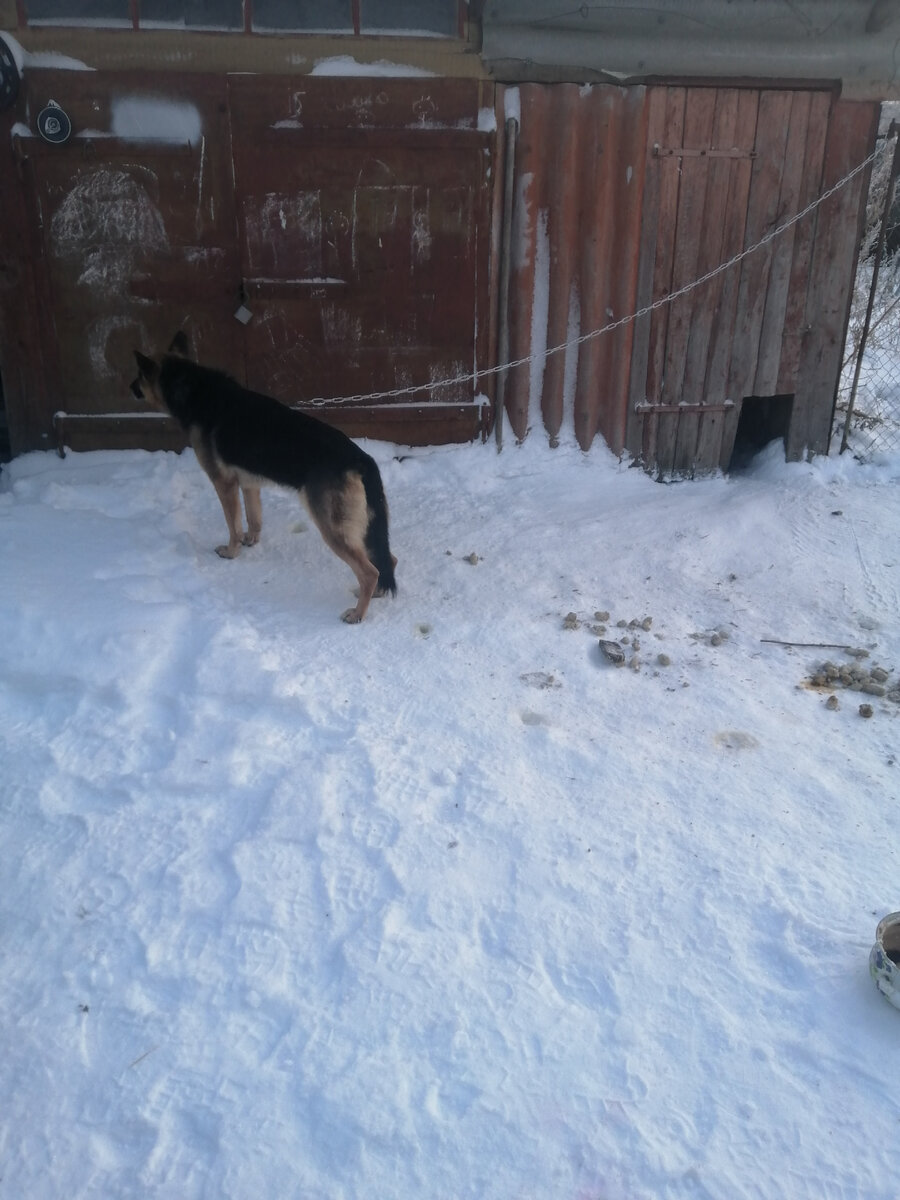 Джесси и ее новое место жительства