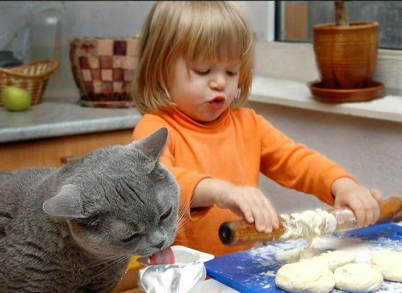 Дети и коты. Кошка для детей. Кошка на кухне. Смешные дети.