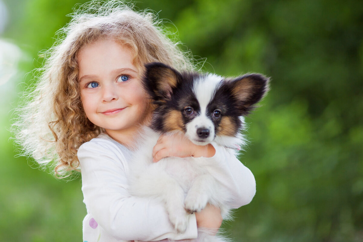 Puppy Playtime