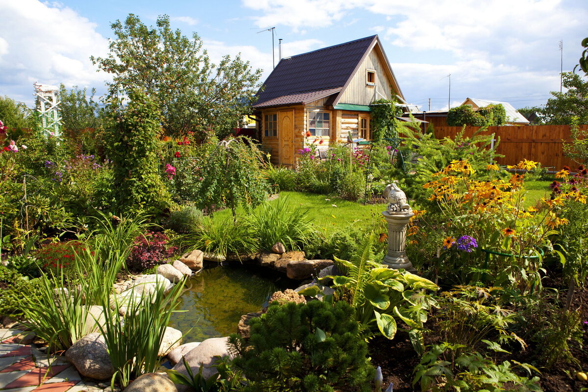 Фото отсюда https://umelitsa.ru/assets/images/stati/dacha/dacha3.jpg