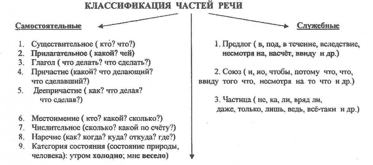  Части речи и их грамматические признаки изучает морфология (раздел языкознания). Части речи — это группы слов, объединенных на основе общности их признаков.-2