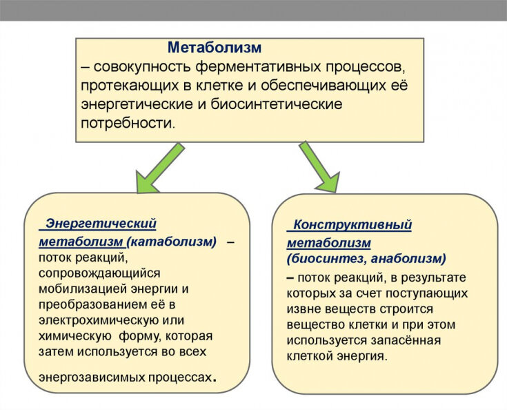 Психосоматика лишнего веса у женщин