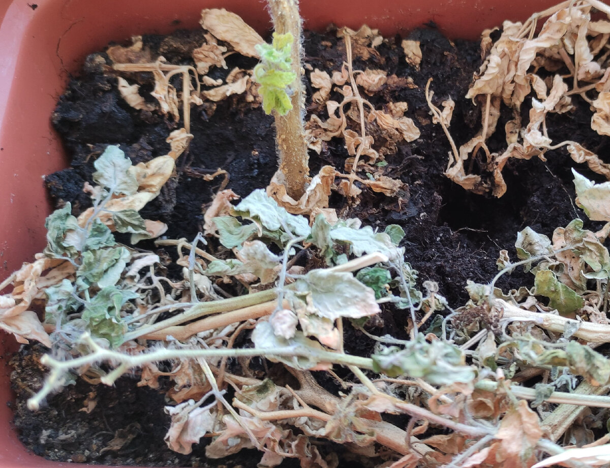 фото автора 14.02.2022