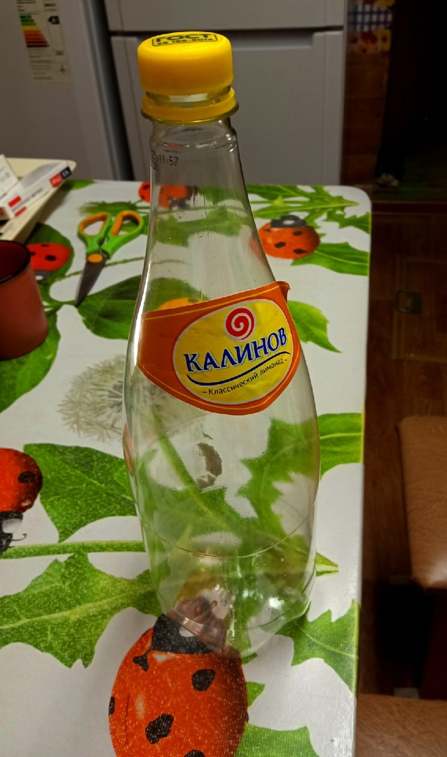 Как сделать из пластиковой бутылки удобный квадратный горшок для ...