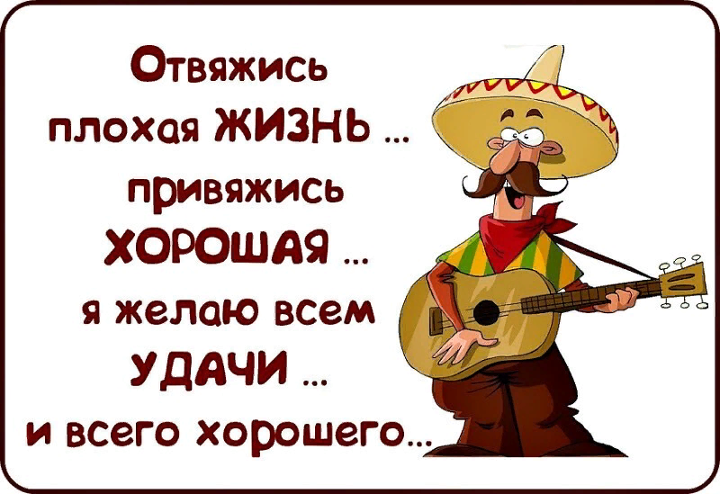 Плохая жизнь. Пожелание удачи в делах. Удачи на работе пожелания. Отвяжись плохая жизнь привяжись хорошая я желаю всем удачи. Пожелания удачи и успеха прикольные.