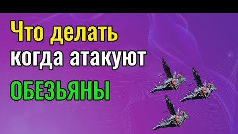 Что делать когда атакуют летучие обезьяны