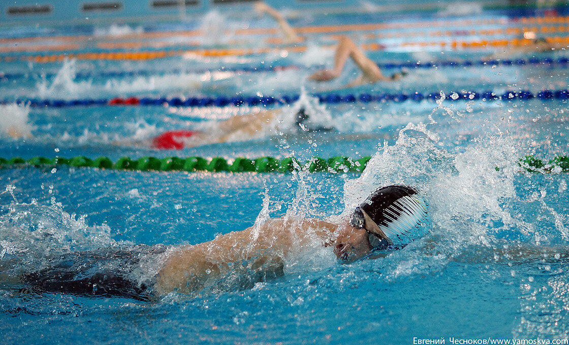 Водный стадион динамо сайт. Водный стадион Динамо. Спорткомплекс Динамо на водном стадионе. Бассейн Динамо в Москве на водном стадионе. Бассейн Динамо на водном стадионе трибуны.