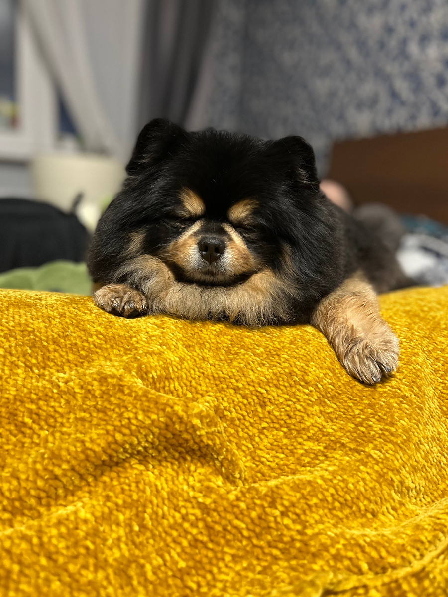 Очень приятно, Царь