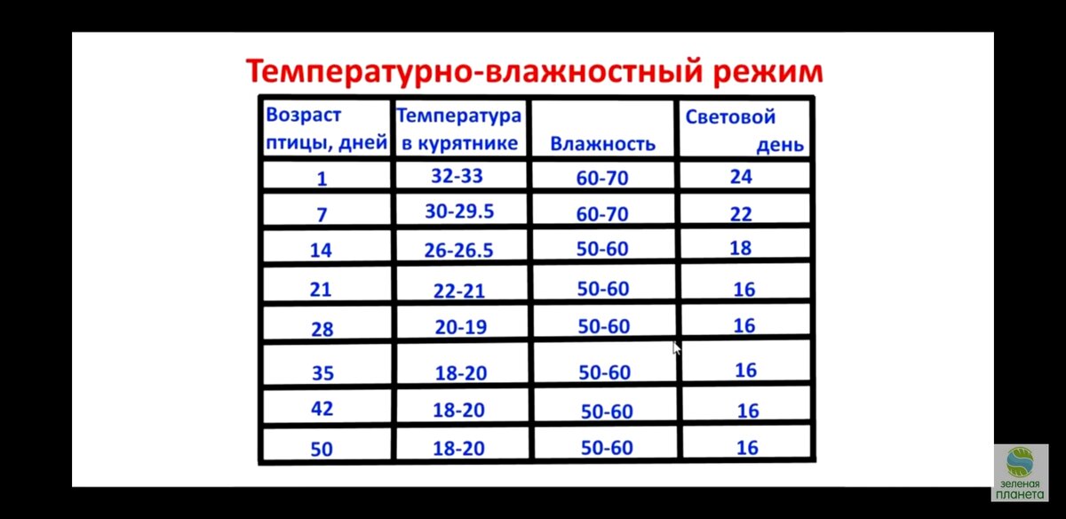 Температура содержания бройлеров кобб 500. Температура содержания бройлеров кобб 500