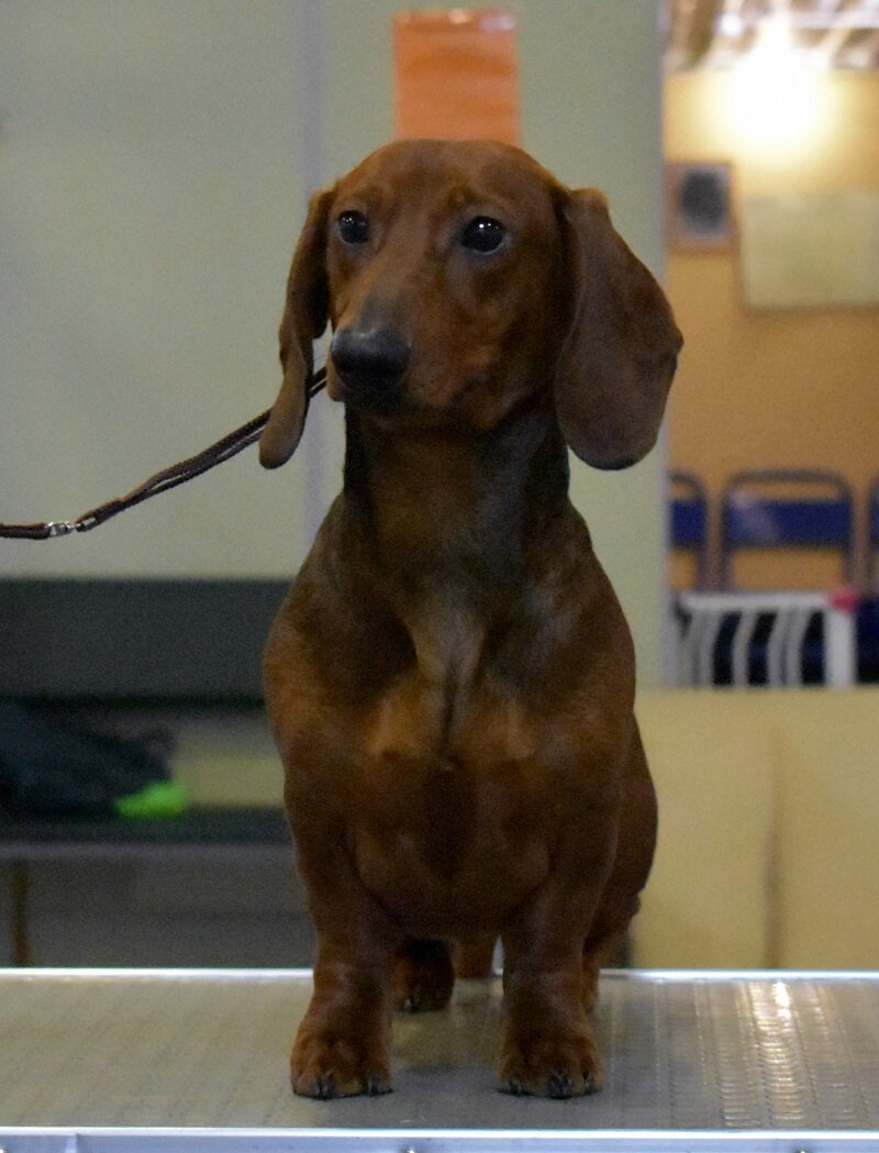 Русский Ассорти’к Христофор