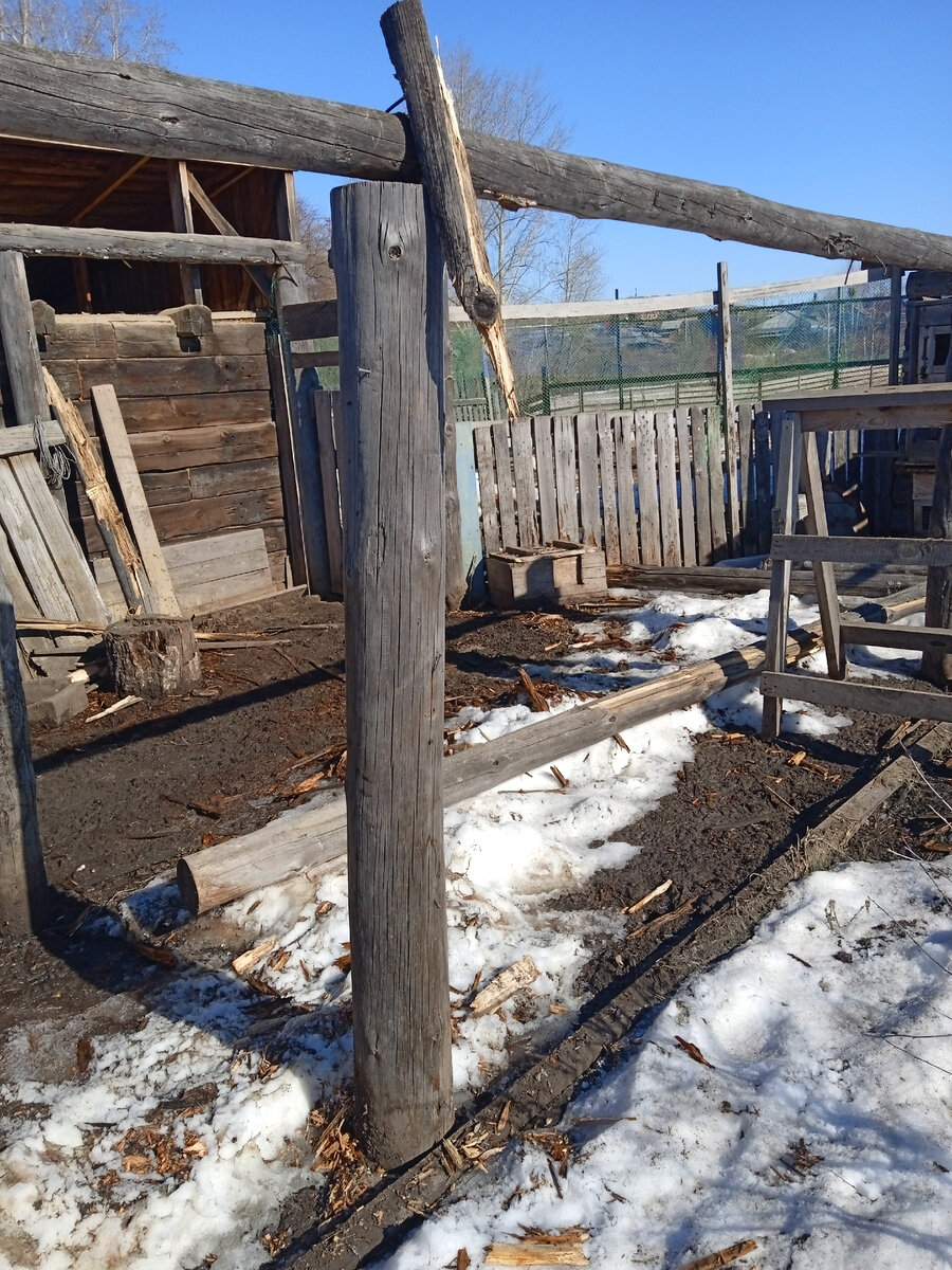 Сломала загон для гусей, разбираю каркас навеса. 