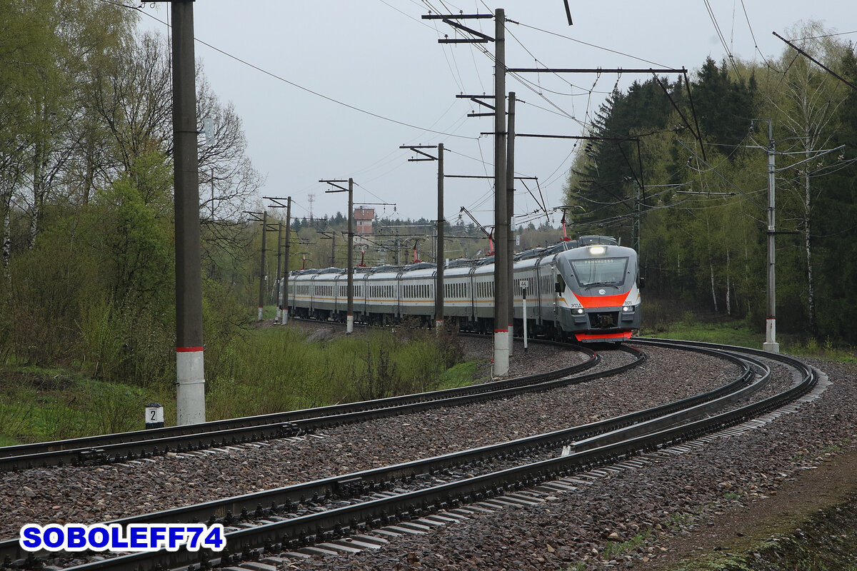 Дедовск снегири