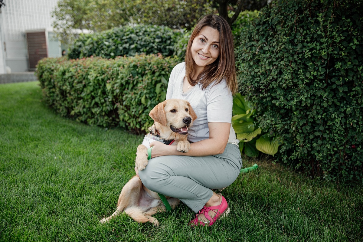 Фото- собственность канала