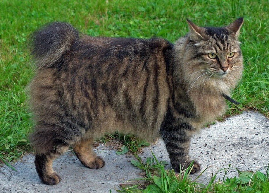 Фото из Интернета.