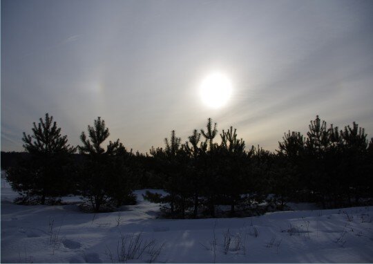 Восходящее солнце марта.