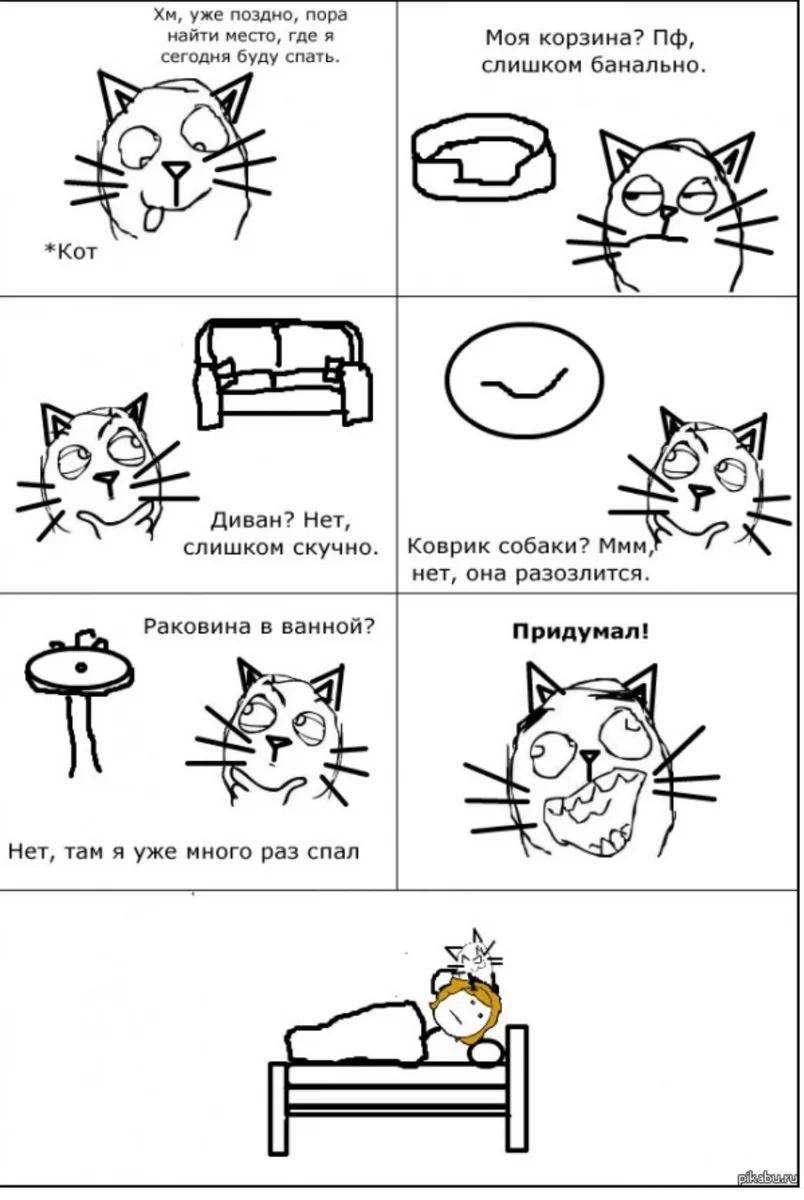Давай придумаем для кота. Мемы про котов. Мемы с котами комиксы. Катава мемы. Комиксы про котэ.