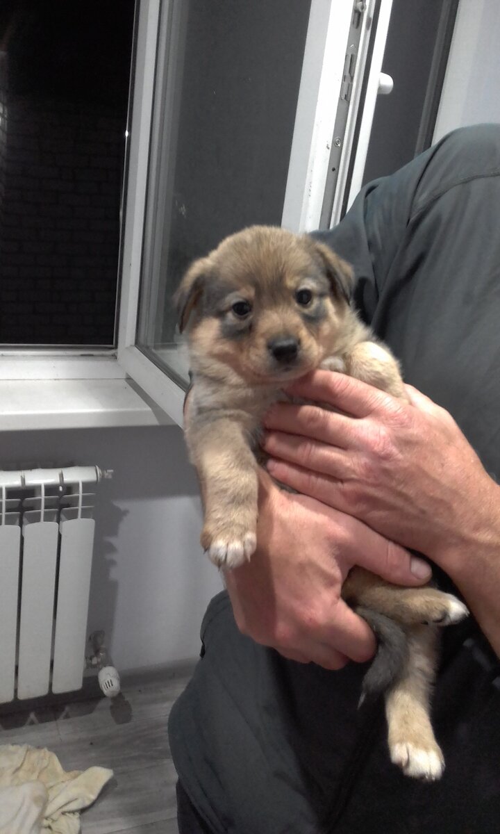 Сейчас и не вспомню, кто это из мелких. Вроде бы Дуся.