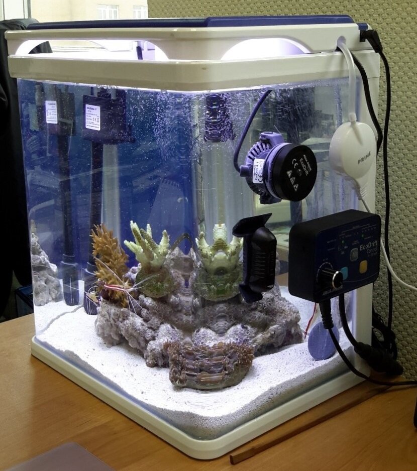 обработка аквариумных рыб марганцовкой. добавляют ли в аквариум соль. аквариум прайм 15 литров. морская соль prime reef 10. Tropic marin syn-biotic bio-actif.