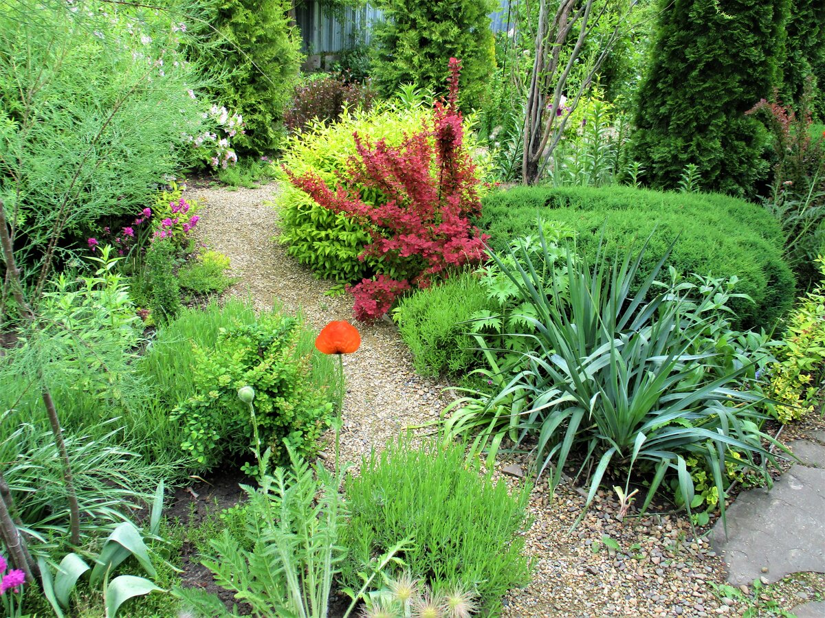 Сад в английском стиле ландшафтного дизайна