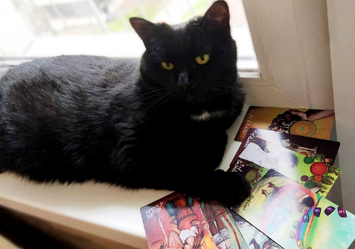 Чёрная кошка и Таро Светлого провидца. Фото автора
