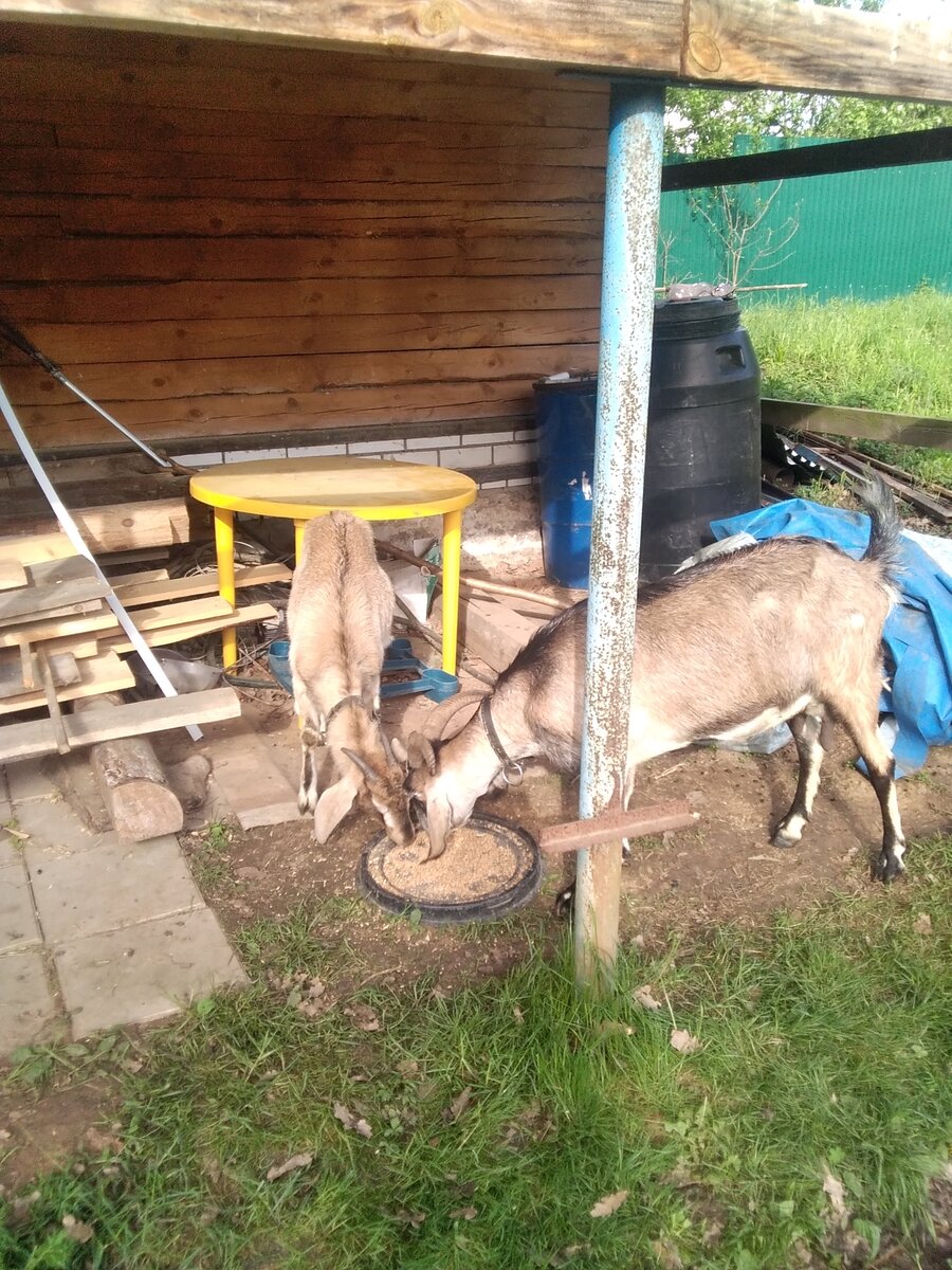 Фото автора. 