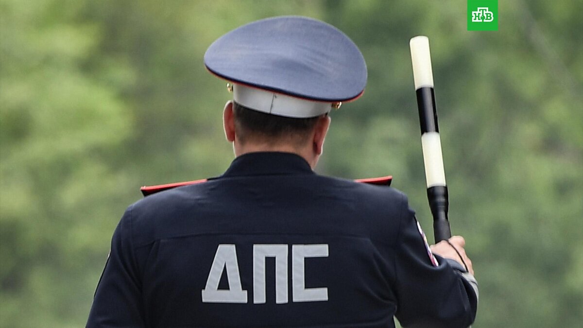    Фото: РИА Новости © 2022, Константин Михальчевский