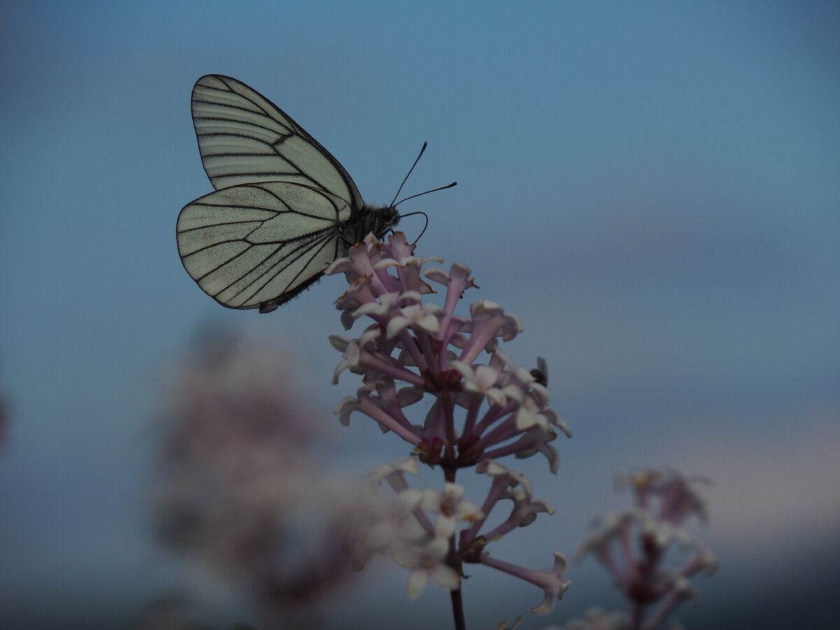 Фото автора канала