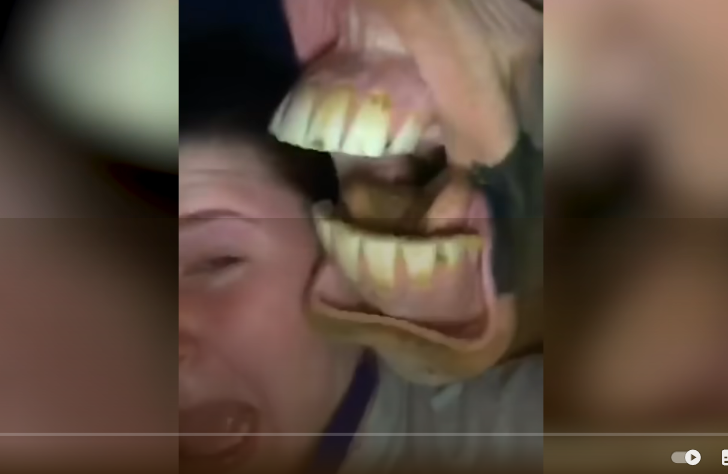 Best Funny Animal Videos Of The 2022 🤣 - Funny Farm And Wild Animals Videos 🐴🐻